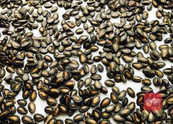 五香打瓜子：傳統(tǒng)風(fēng)味的小吃魅力